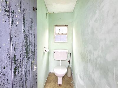 Picture 20